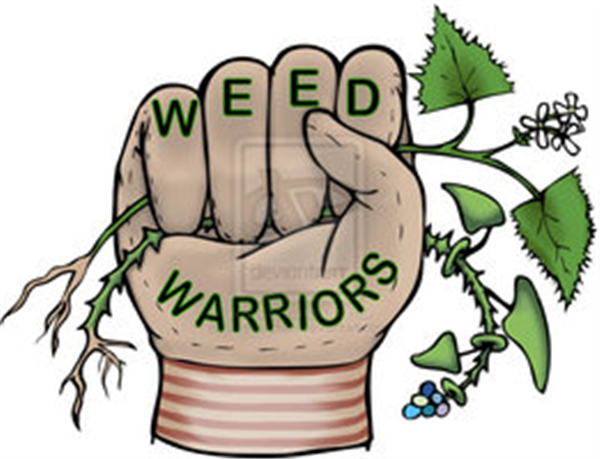 comission__weed_warrior_logo_by_leena_chan-d47j1cl.jpg