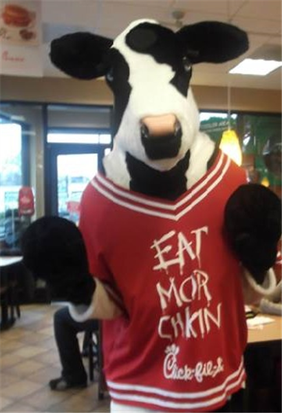 chick-fil-a cow.jpg