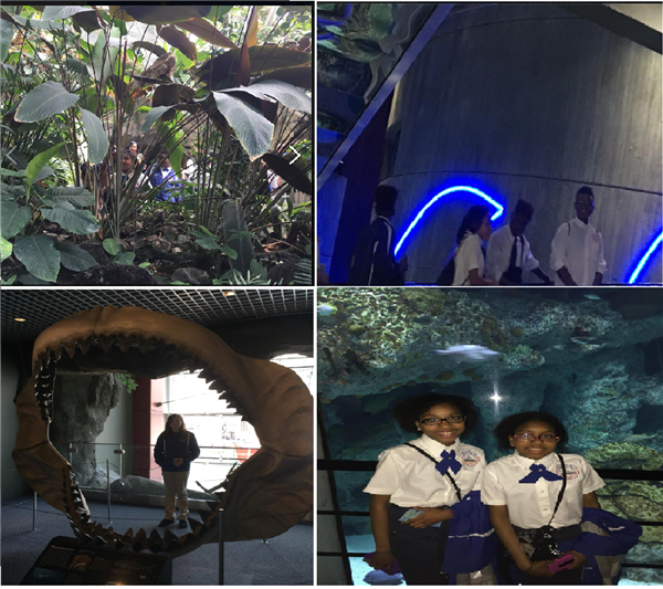 National Aquarium Educational Trip 4.jpg