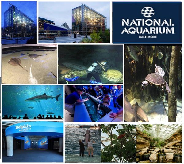 National Aquarium Educational Trip 5.jpg