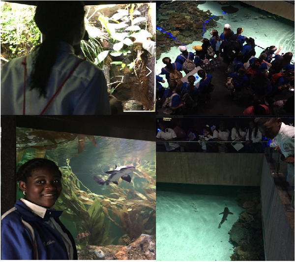 National Aquarium Educational Trip 2.jpg