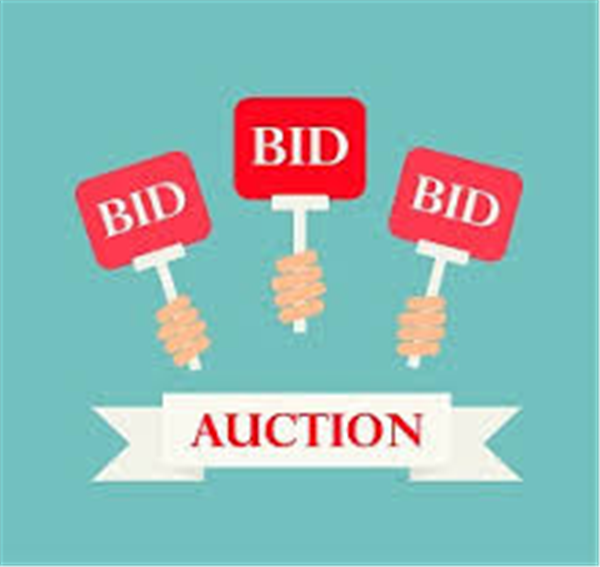 silent auction bid sign.jpg