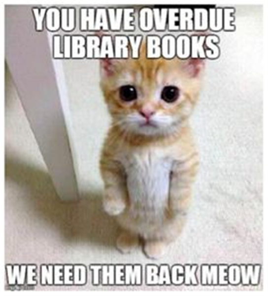 funny-library-quotes-library-memes.jpg