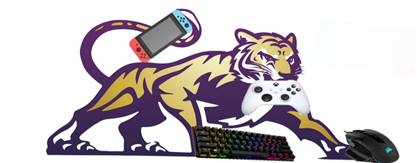 TIger Gaming.png