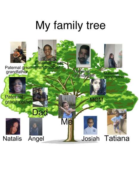 Jaiden Powell Family Tree.png