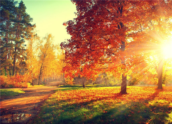 autumn pic.jpg