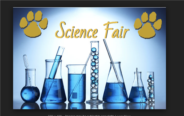 Science Fair 1.png